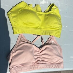 Gym shark sports bras